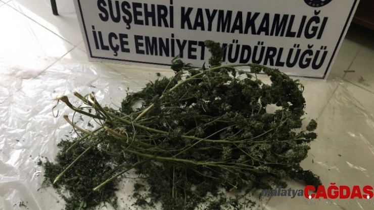 Susehri'nde uyuşturucu operasyonları