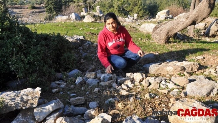 Tarihi mezarlıkta köstebek yuvasını andıran görüntüler