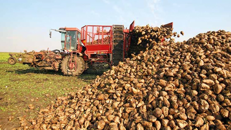 Tarım Bakanı Yumaklı: Üreticilere Destek Sürüyor