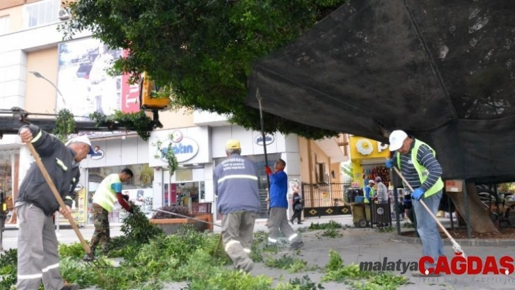 Tarsus yarenlik alanda bakım çalışması yapıldı