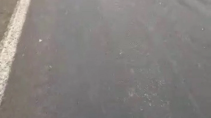 Tır, yoldan geçen büyükbaş hayvan sürüsüne daldı