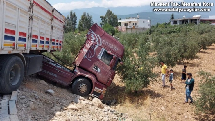 Tır zeytin bahçesine girdi