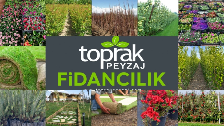 Toprak Peyzaj Yeni Sezonu Sertifikalı Fidan ve Süs Bitkileriyle Karşılıyor