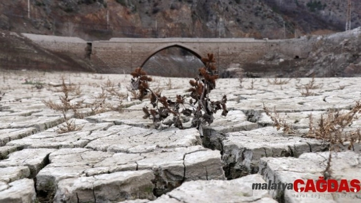 Torul baraj gölünde su seviyesi 40 metre çekildi