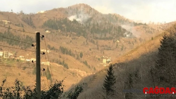 Trabzon'da örtü yangınları sürüyor