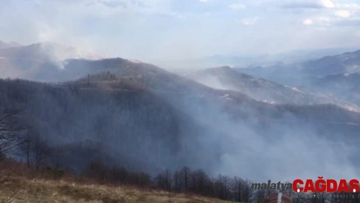 Trabzon'un Dernekpazarı ilçesindeki örtü yangınları devam ediyor