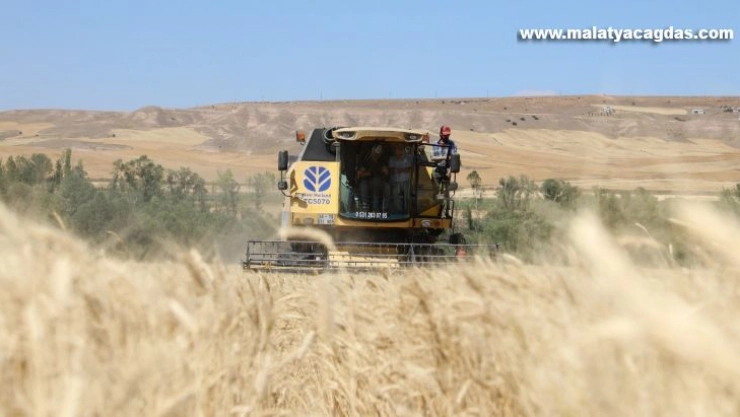 Türkiye'nin buğday ambarında hasat başladı