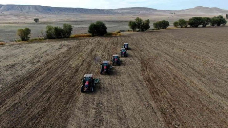 Türkiye'nin tritikale ihtiyacının yüzde 50'si Sivas'ta üretiliyor
