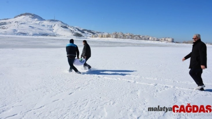Tuşba Belediyesi, yaban hayvanları için doğaya yem bıraktı