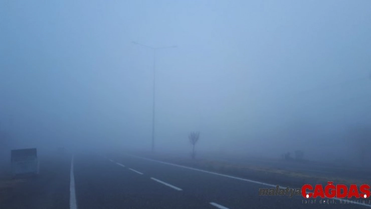 Tuzluca'da yoğun sis etkili oldu