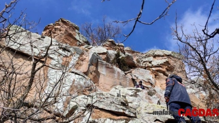Uçurumda mahsur kalan 15 keçi, 12 saatte kurtarıldı