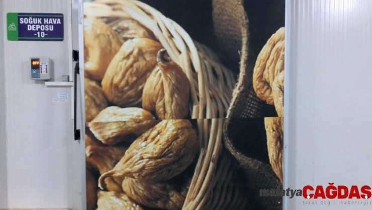 Ufresh soğuk hava depoları hizmete açıldı