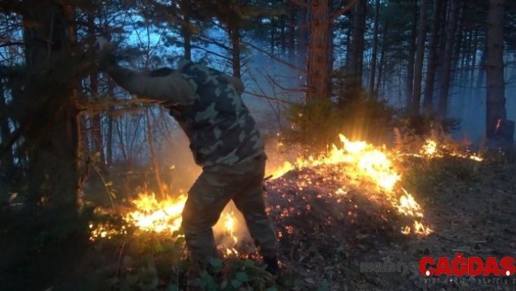 Uludağ etekleri alevlere teslim