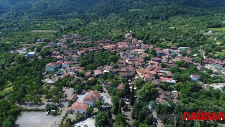 UNESCO Dünya Mirası Listesindeki Cumalıkızık'ta kırmızı alarm