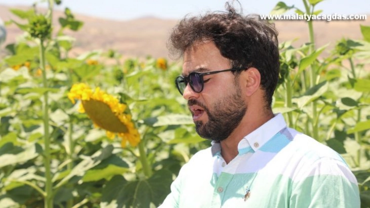 Ünlü tenordan ayçiçeği tarlasında arya