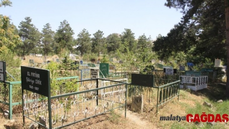 Van'da 12 mezarlıktan 6'sı doldu