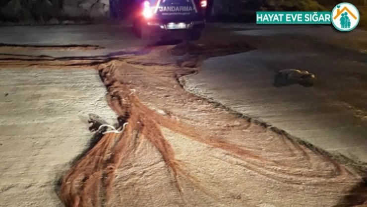 Van'da 350 metre manyat tipi ağ balık ele geçirildi