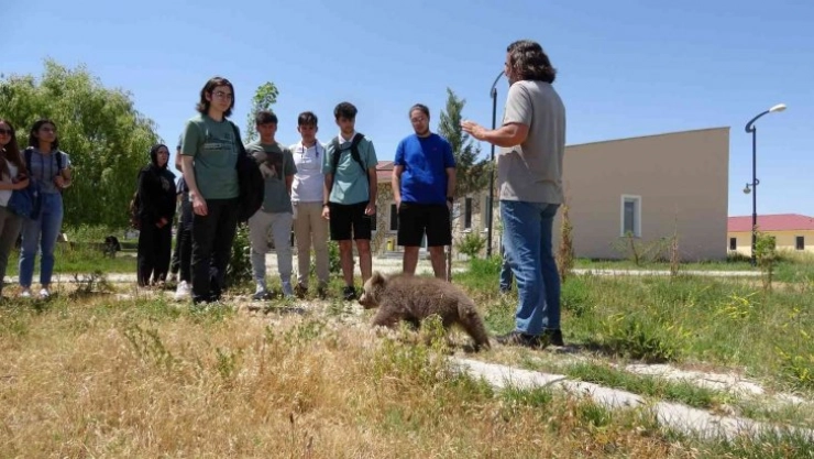 Van'da öğrenciler YKS öncesi stres attı
