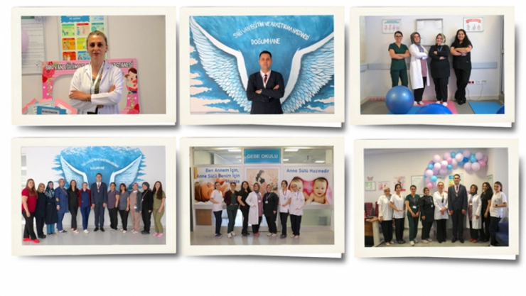 Van'da yaklaşık 15 bin kadın normal doğum ve anne sütü konusunda bilgilendirildi