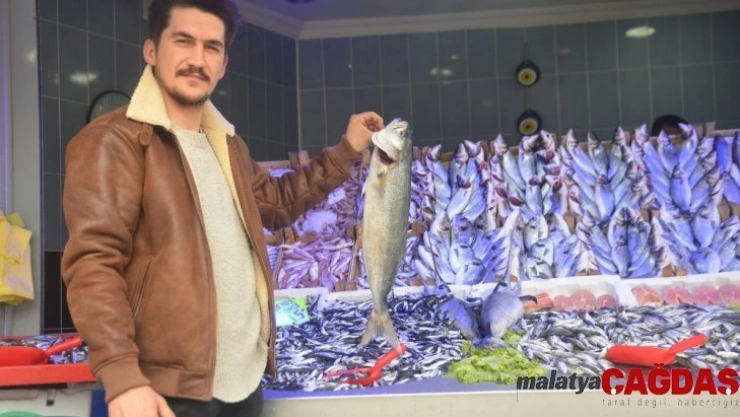 Vatandaşlar bu sene hamsi ve palamuda hasret kaldı