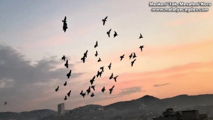 Vatandaşlar tam kapanmada zamanını damda kuşlarla geçiriyor