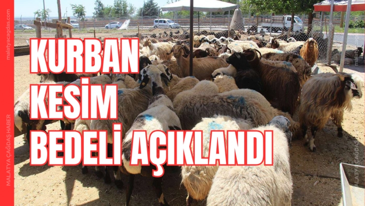 Vekaletle kurban kesim bedelleri açıklandı