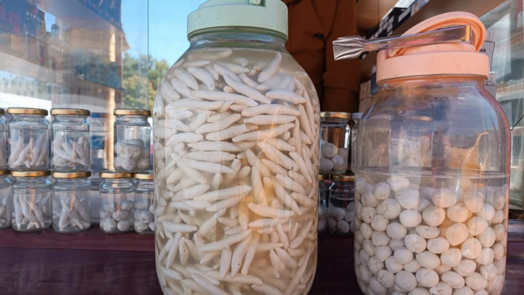 Yağış Bol, İşçilik Az: Kenger Sakızı Fiyatları Rekor Kırdı