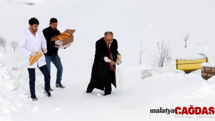 Yahyalı'da yaban hayatına yem desteği