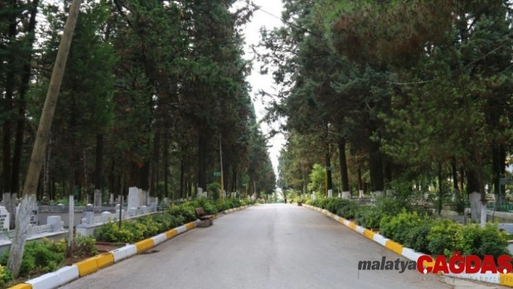 Yalova'da 2019 yılında bin 79 kişi hayatını kaybetti, 933 çift dünya evine girdi