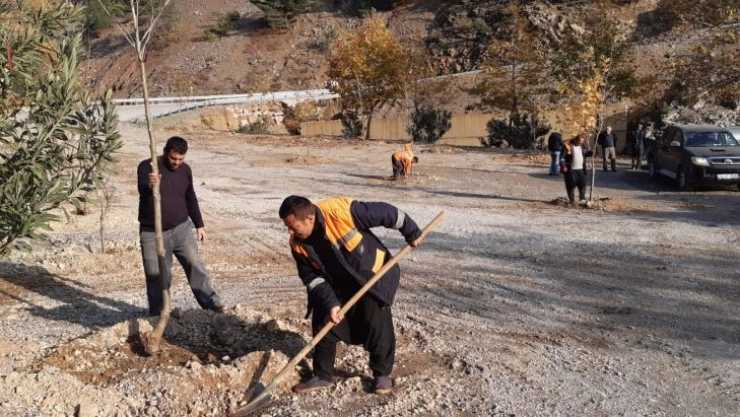 Yangın bölgesinde mesire alanı oluşturuldu