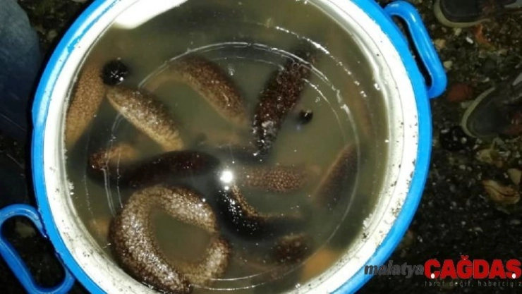 Yasa dışı ürünler avcılığına 5 bin 863 olayda 18 milyon ceza