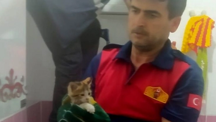 Yavru kediyi itfaiye kurtardı