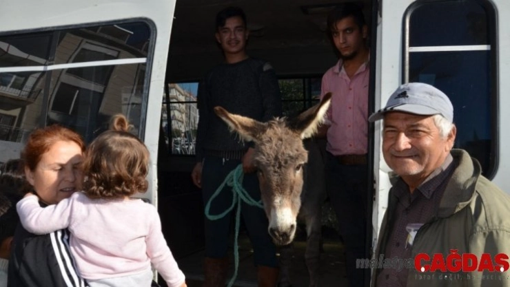 Yaylaya terk edilen eşek için seferber oldular