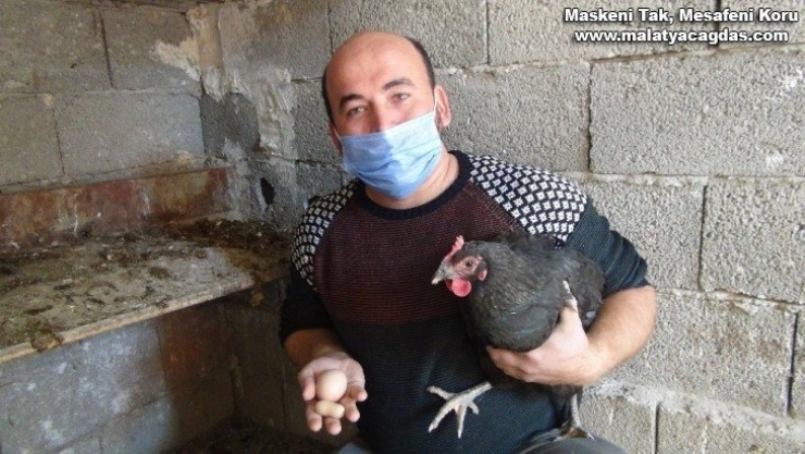 Yer fıstığı değil yumurta