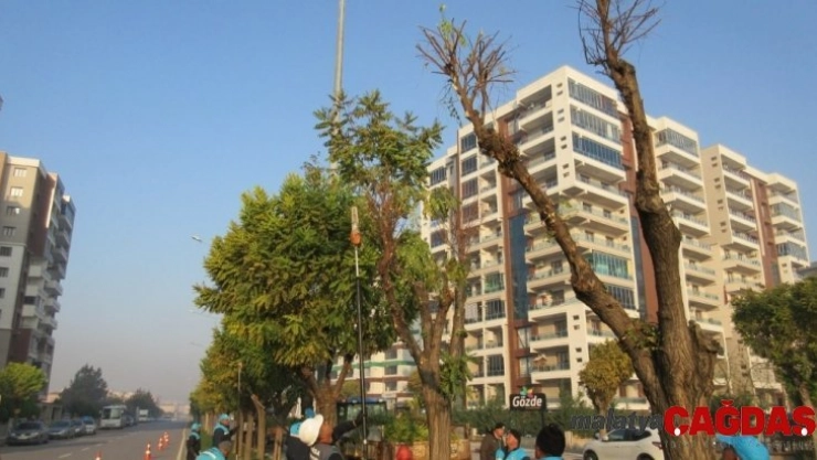 Yeşil alanlar kışlık bakıma alındı