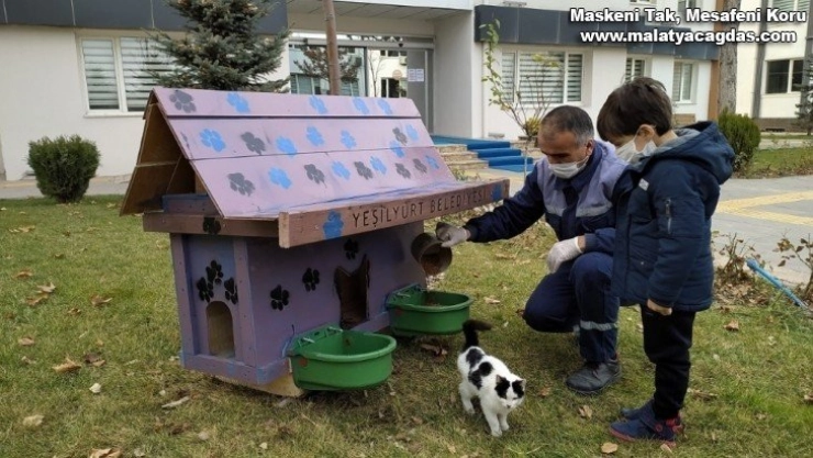 Kedi ve Köpek Evler Projesi