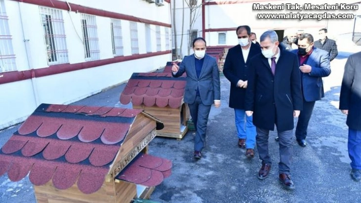 Yeşilyurt'ta sokak hayvanları için örnek proje