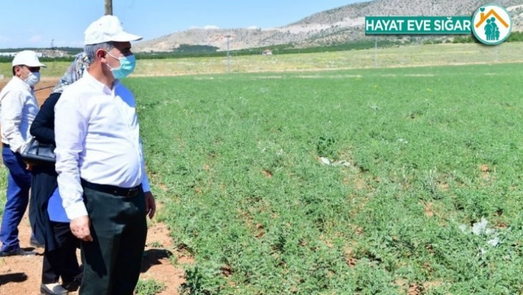 Tarımsal üretim ve Ar-Ge sahası kuruldu