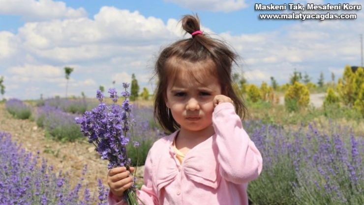Yetişmez dediler, o kulak asmadı şimdi hasada gün sayıyor