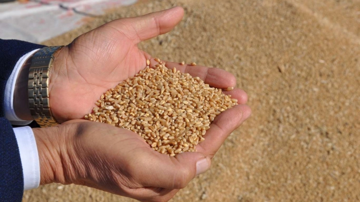 Yılın İlk 8 Ayında 217 Ülkeye Gıda İhracatı