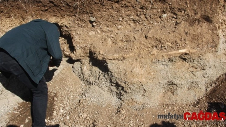 Yol çalışmasında insan iskeleti bulundu