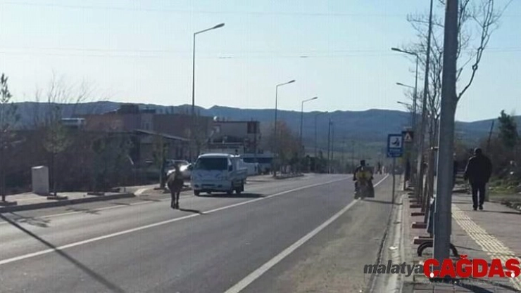 Yolda başıboş gezen eşek sürücülere zor anlar yaşattı