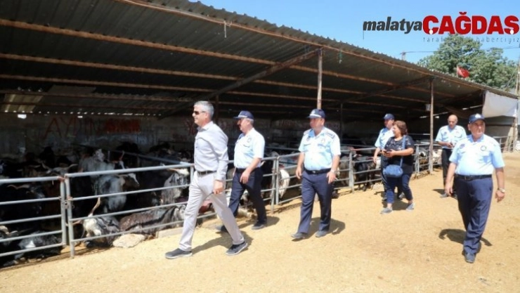 Zabıtadan kurban denetimi