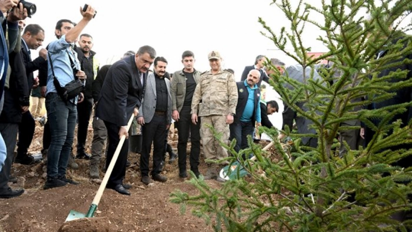 Cumhuriyetin 100. Yılı Anısına Binlerce Fidan Dikildi