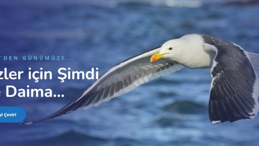 İngilizce Çeviri Ücretleri ve Romence Türkçe Çeviri