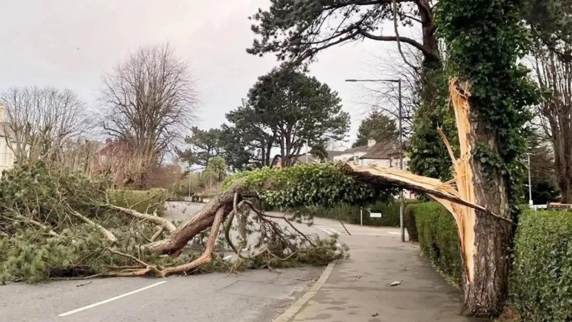 Meteoroloji'den Marmara ve Kuzey Ege için kuvvetli rüzgâr uyarısı