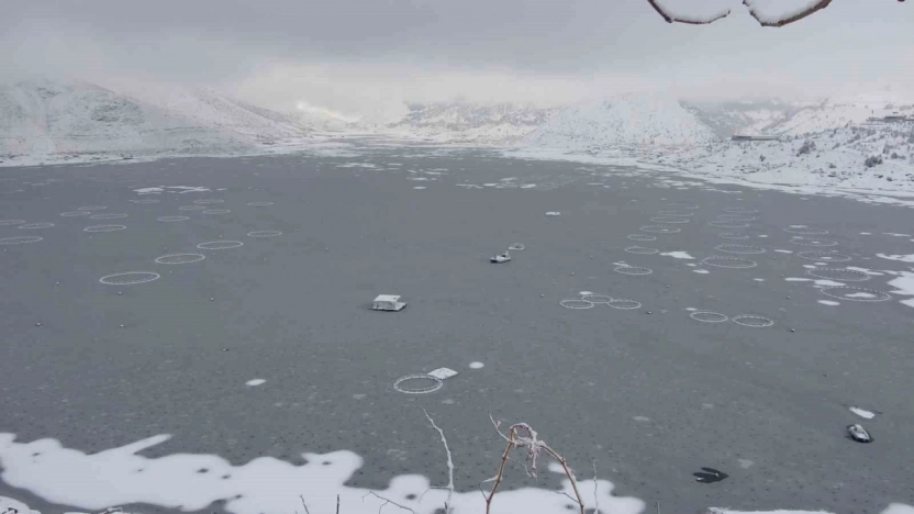 Adıyaman'da Çat Barajı'nın yüzeyi buz tuttu