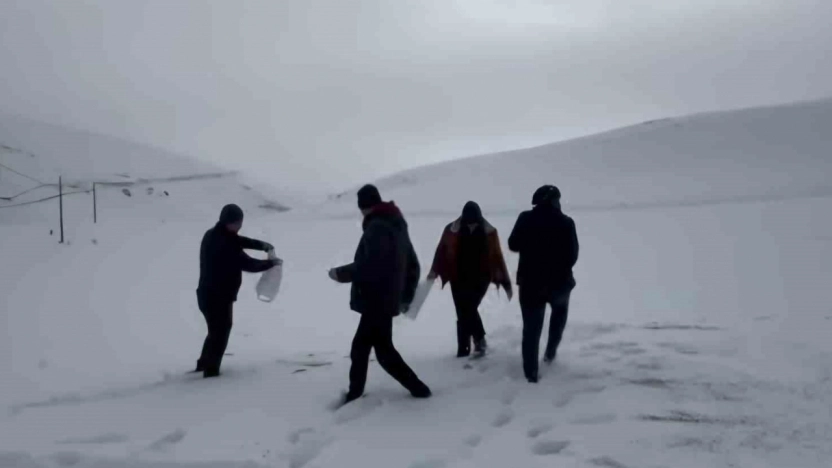 Darende'de öğretmen ve öğrencilerden yaban hayvanlarını unutmadı