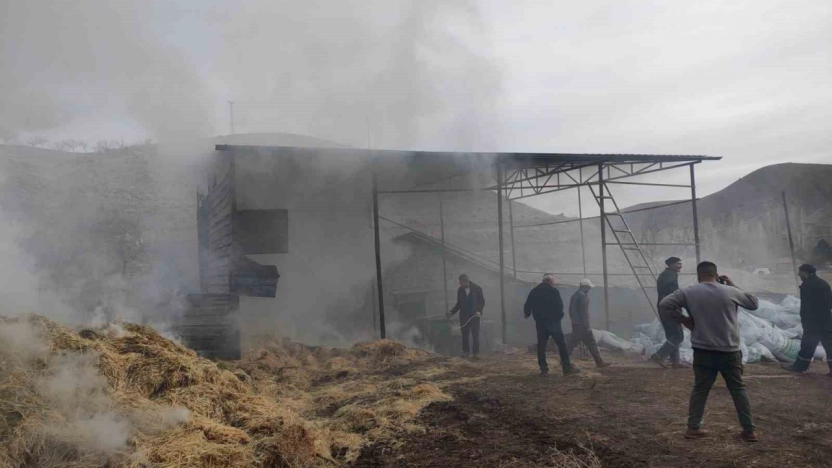 Besi çiftliğinde yangın