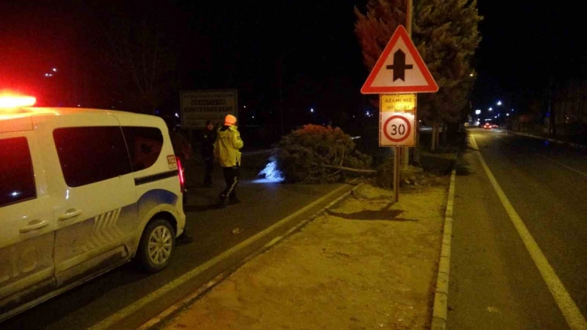 Fırtına ağaçları kökünden söktü